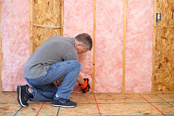 Types of Insulation We Offer in Tonka Bay, MN